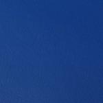 Blue Vinyl